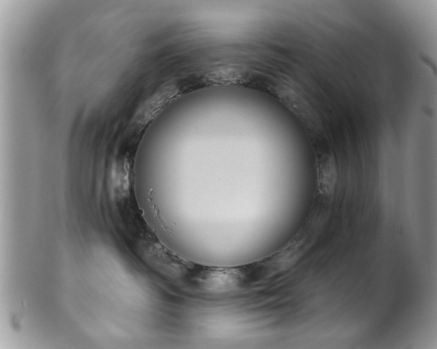 X0000101970334200807251216