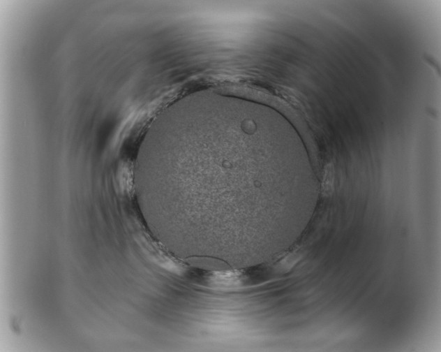 X0000101970335200807251216