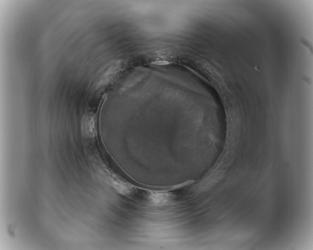X0000101970336200807251216