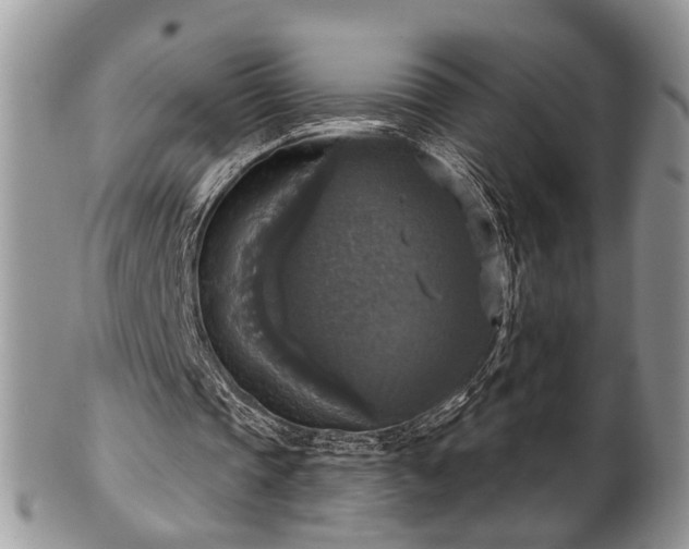 X0000101970337200807251216