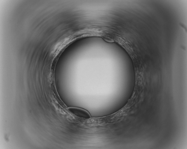 X0000101970338200807251216