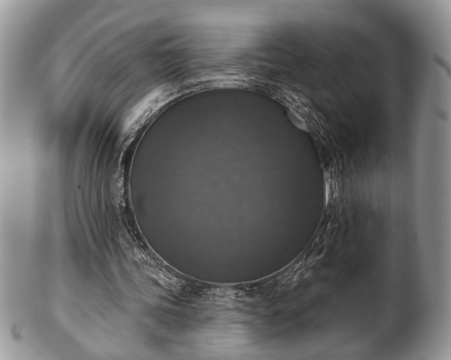 X0000101970339200807251216