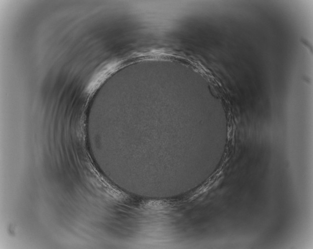 X0000101970341200807251216