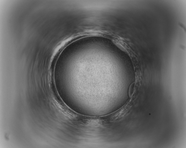 X0000101970342200807251216