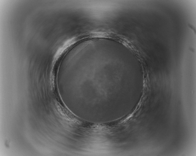 X0000101970343200807251216