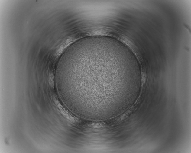 X0000101970345200807251216