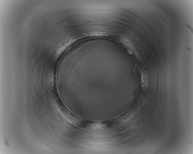 X0000101970348200807251216