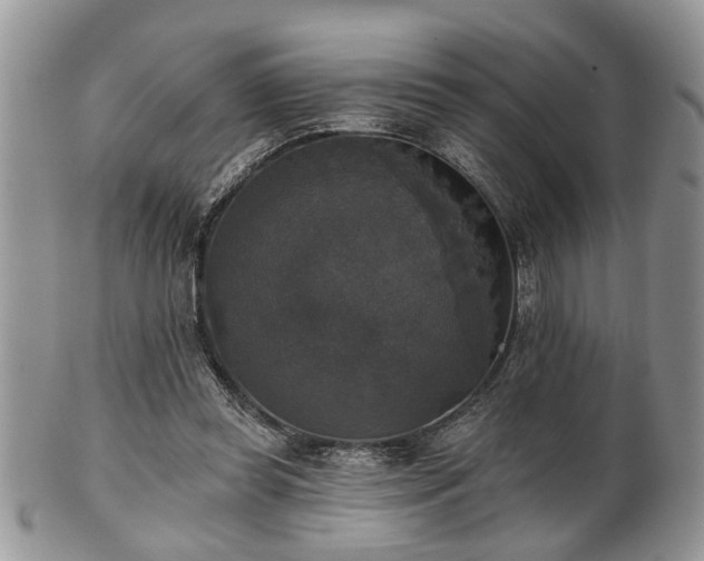 X0000101970349200807251216