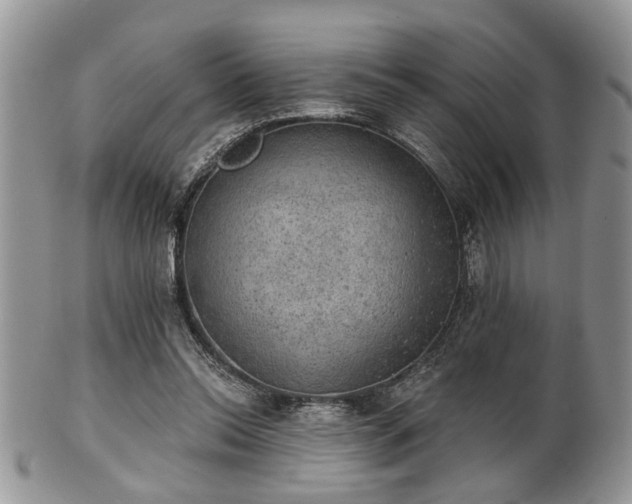 X0000101970350200807251216