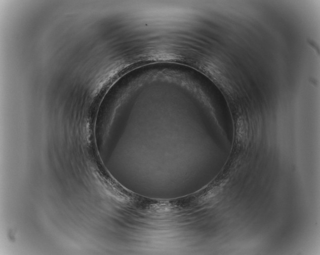 X0000101970351200807251216