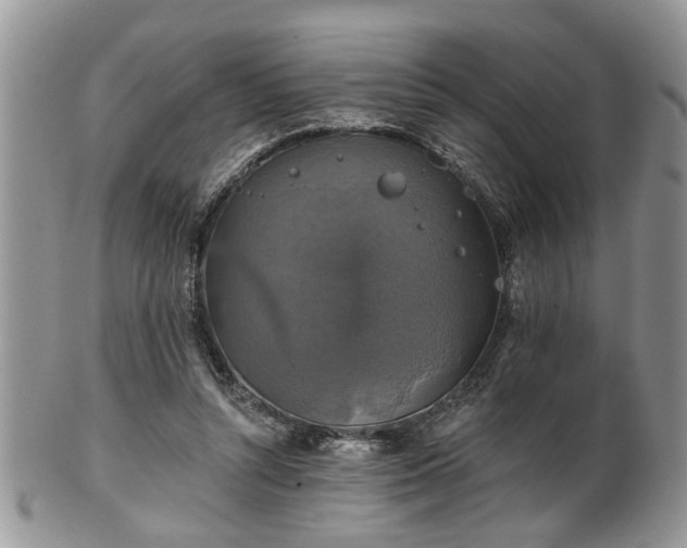 X0000101970352200807251216