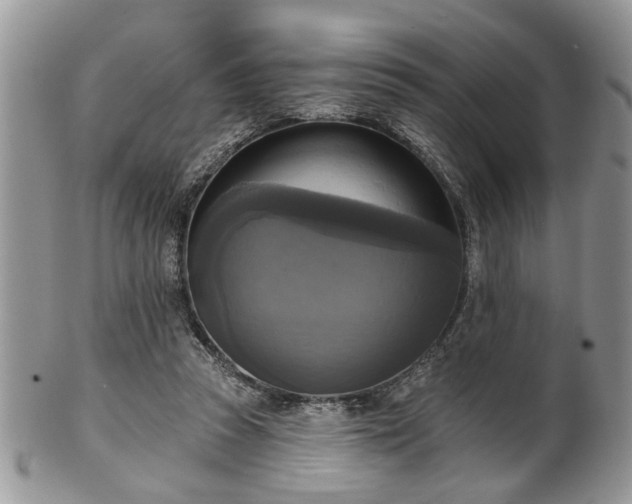 X0000101970353200807251216