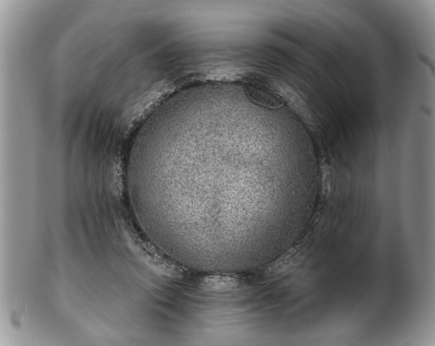 X0000101970354200807251216