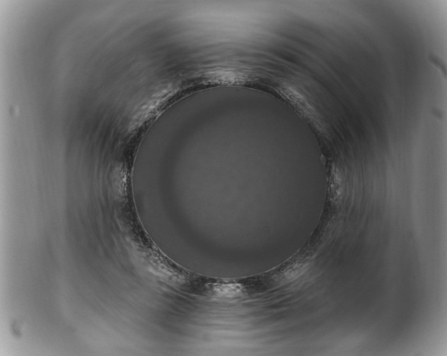 X0000101970355200807251216