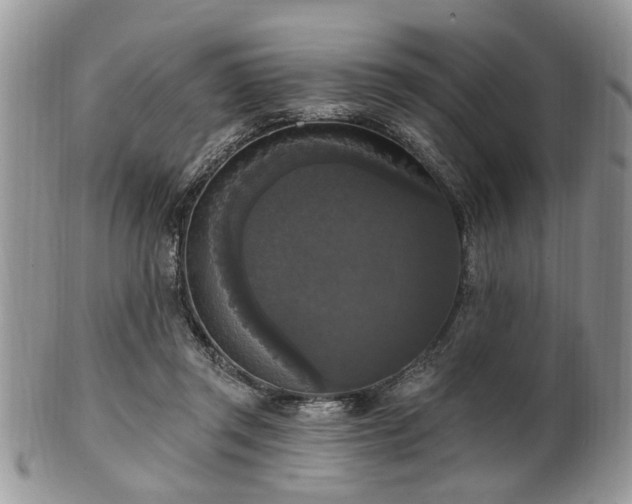 X0000101970357200807251216