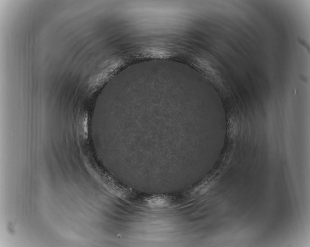 X0000101970358200807251216