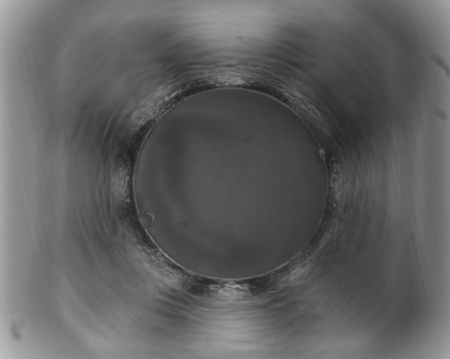 X0000101970359200807251216