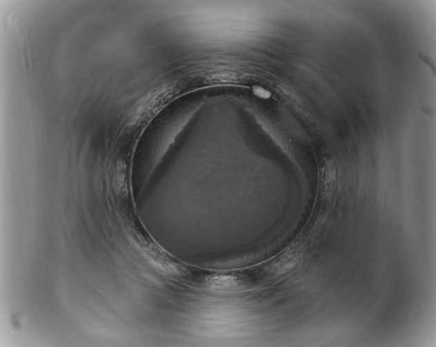 X0000101970361200807251216