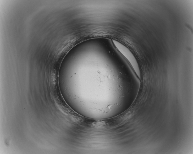 X0000101970362200807251216