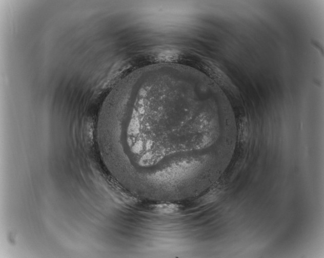 X0000101970363200807251216