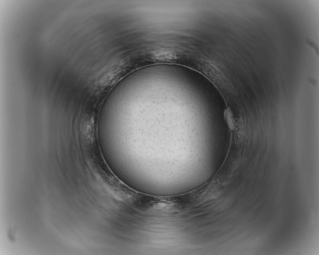 X0000101970364200807251216