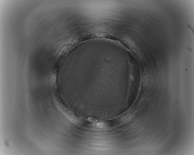 X0000101970365200807251216