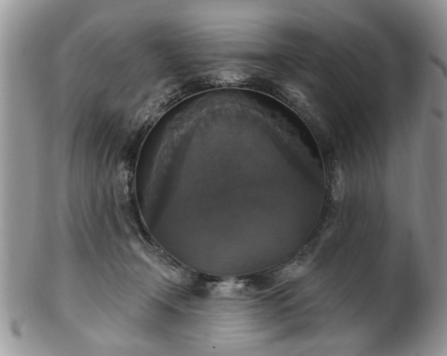 X0000101970366200807251216