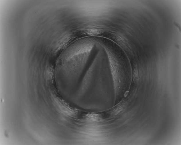X0000101970367200807251216