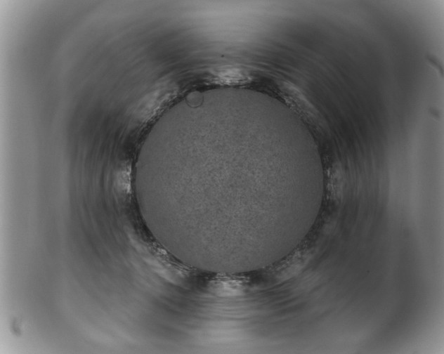 X0000101970368200807251216