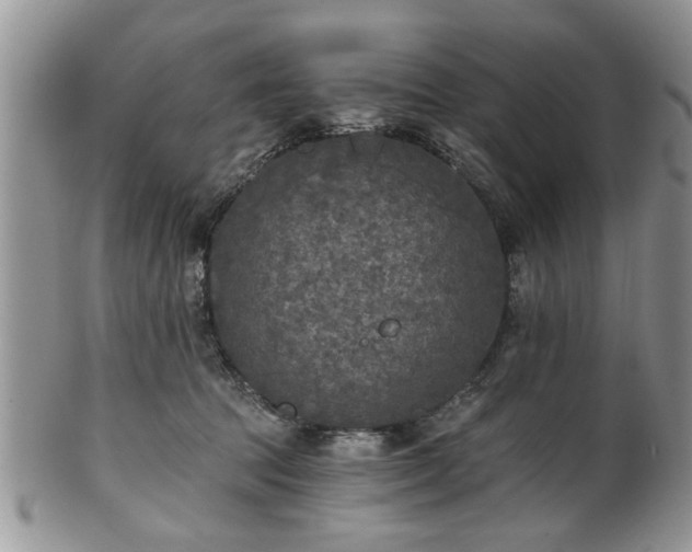 X0000101970369200807251216