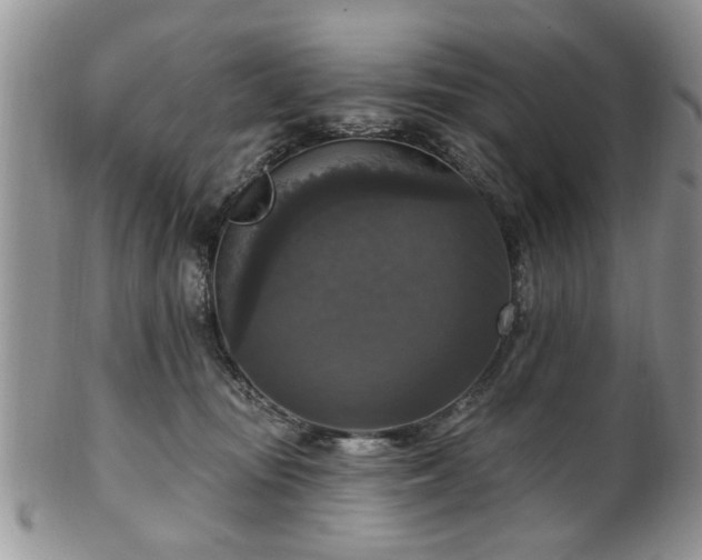 X0000101970371200807251216