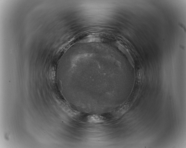 X0000101970372200807251216