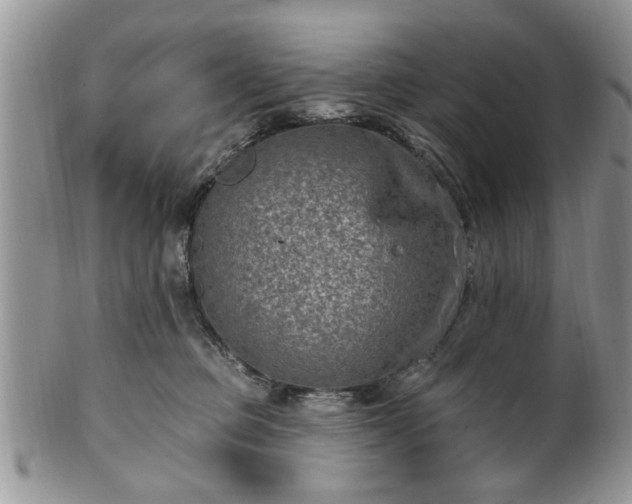 X0000101970373200807251216