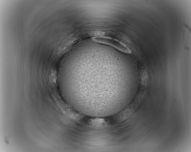 X0000101970374200807251216