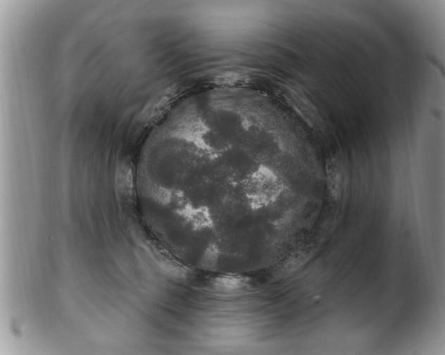 X0000101970375200807251216