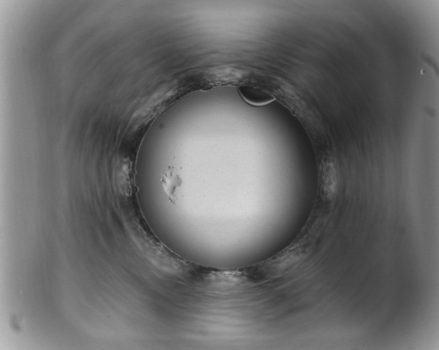 X0000101970378200807251216