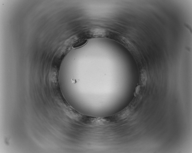 X0000101970379200807251216