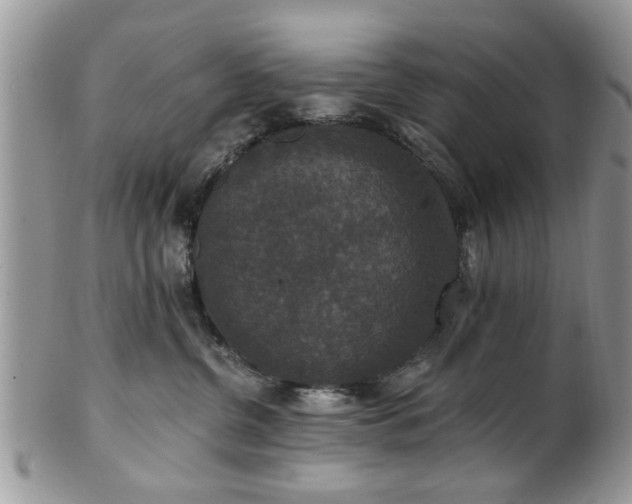 X0000101970380200807251216