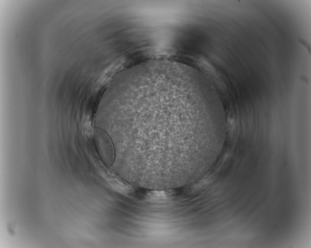 X0000101970381200807251216