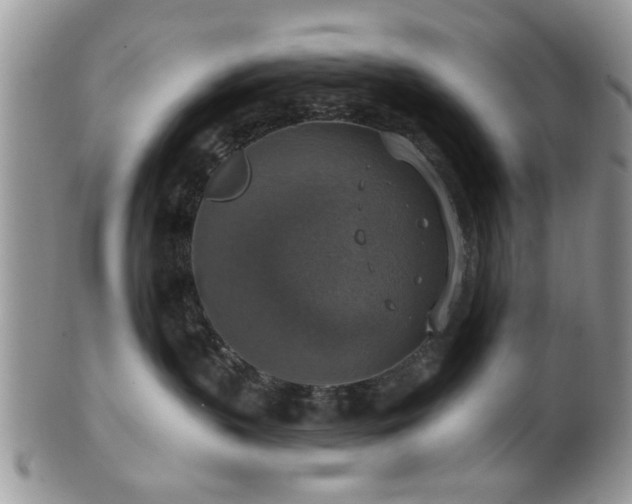 X0000101970383200807251216