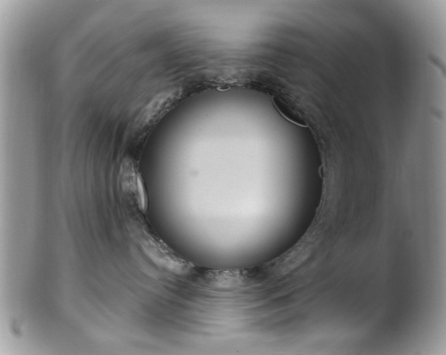 X0000101970384200807251216