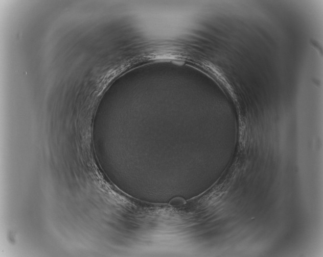 X0000101970385200807251216