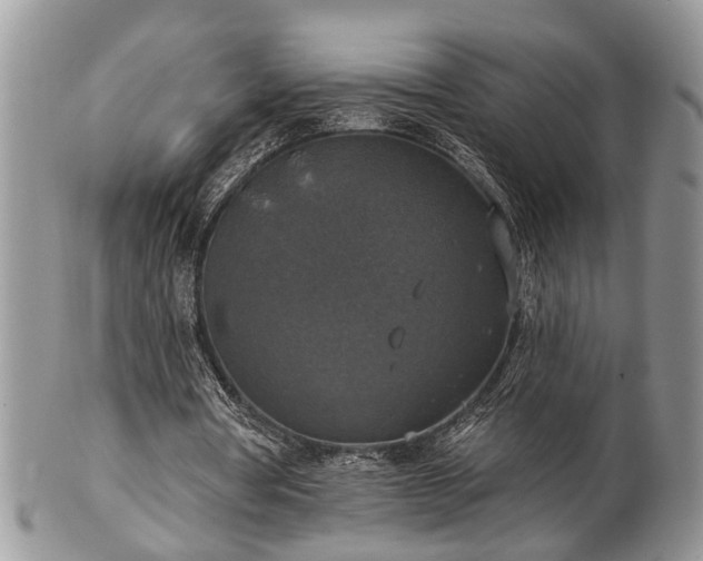 X0000101970386200807251216