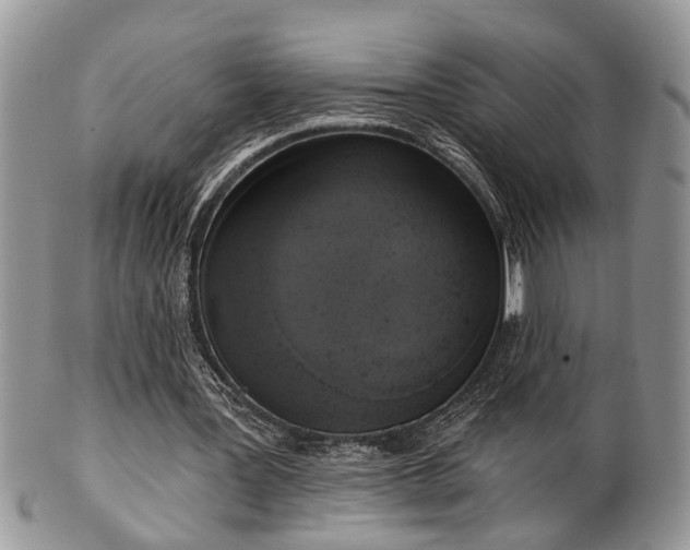 X0000101970387200807251216