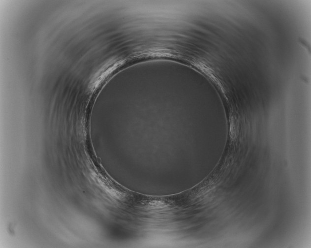 X0000101970390200807251216