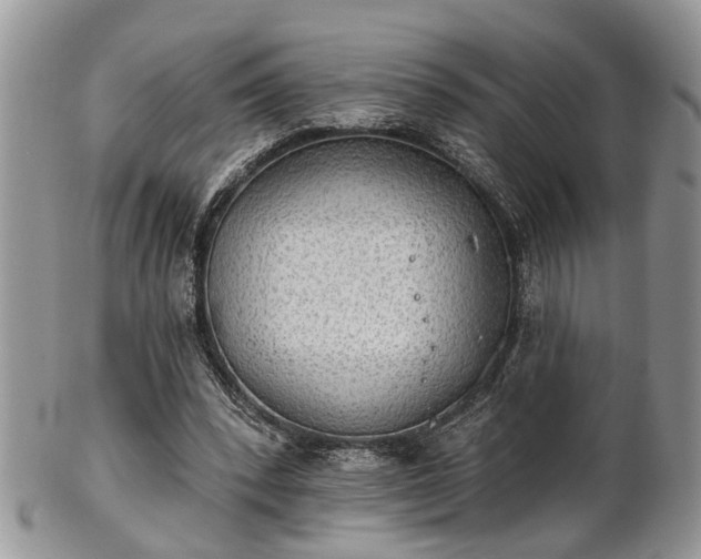 X0000101970392200807251216
