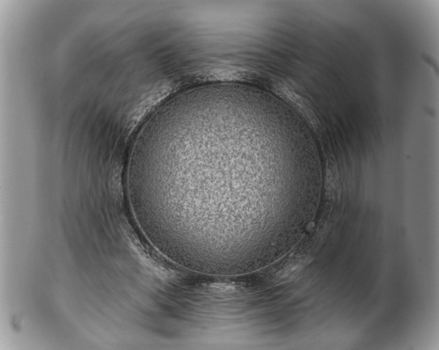 X0000101970394200807251216