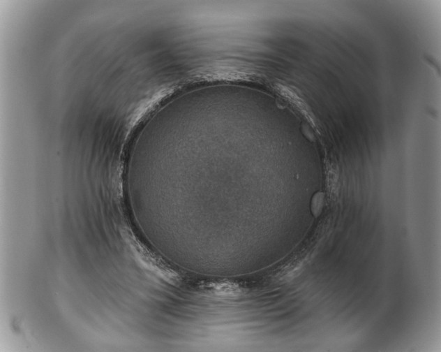 X0000101970395200807251216