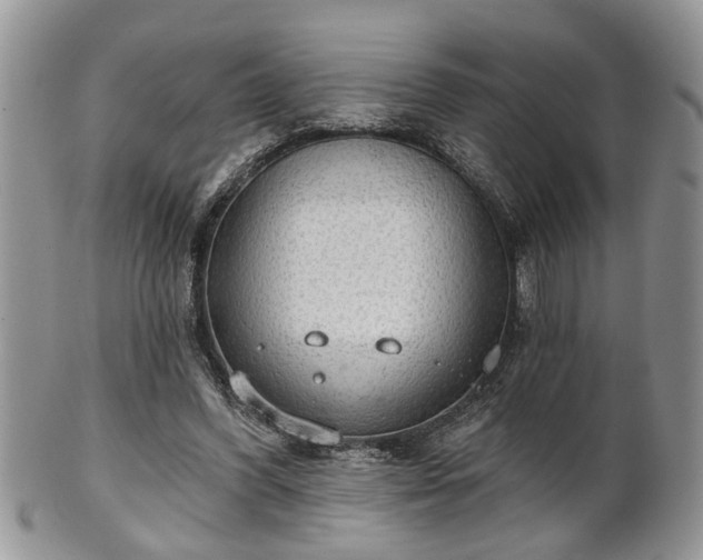 X0000101970396200807251216