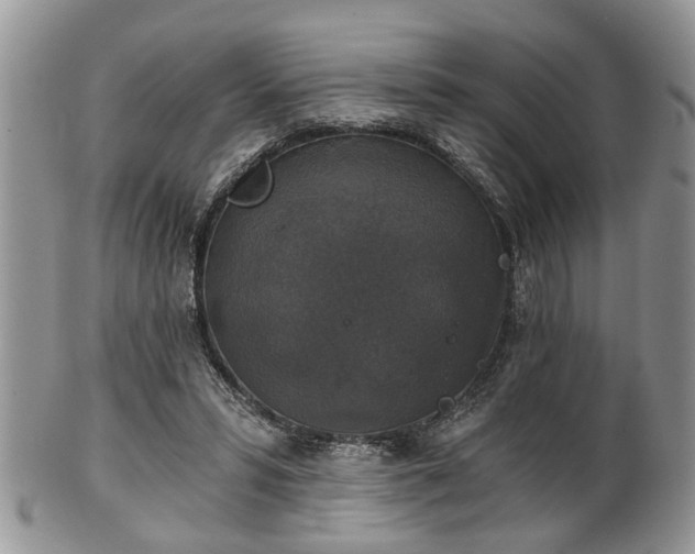 X0000101970399200807251215